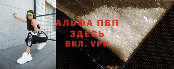 ПСИЛОЦИБИНОВЫЕ ГРИБЫ Каменногорск